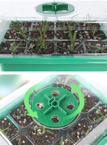 Seedling Starter Tray with Grow Light