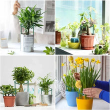 Garden Plant Support Stakes