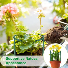 Garden Plant Support Stakes