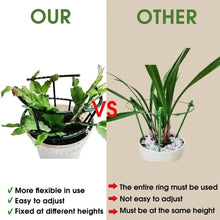 Garden Plant Support Stakes