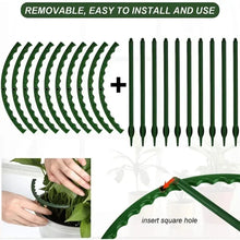 Garden Plant Support Stakes
