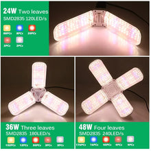 Foldable LED Grow Light