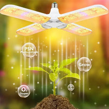 Foldable LED Grow Light