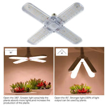 Foldable LED Grow Light