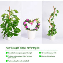 Bendable Coir Moss Pole