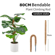 Bendable Coir Moss Pole