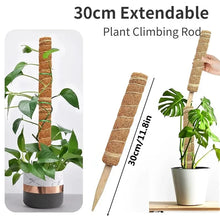 Bendable Coir Moss Pole