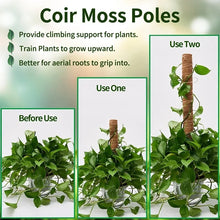 Bendable Coir Moss Pole