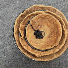 Round Iron Hanging Planter