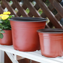 Durable Plastic Seedling Starter Pots