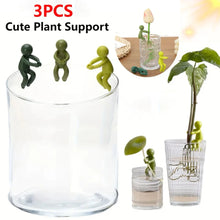 Decorative Plant Support Stakes