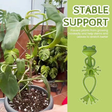 Adjustable Tomato Plant Support