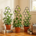 Honeycomb Plant Trellis