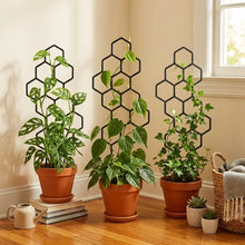 Honeycomb Plant Trellis