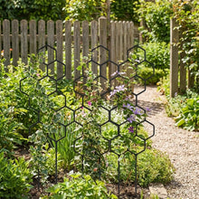 Honeycomb Plant Trellis