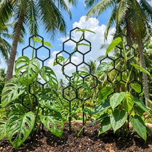 Honeycomb Plant Trellis