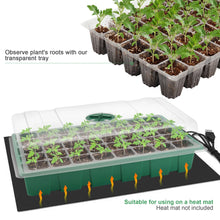 Seedling Starter Tray Set