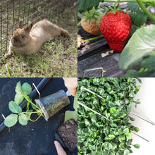 U-Shaped Garden Stakes