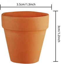 Tiny Terracotta Nursery Pots