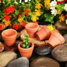 Tiny Terracotta Nursery Pots
