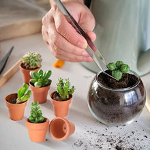Tiny Terracotta Nursery Pots