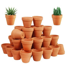 Tiny Terracotta Nursery Pots