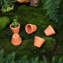 Tiny Terracotta Nursery Pots
