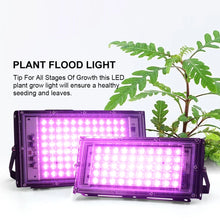 Full Spectrum Greenhouse Grow Light
