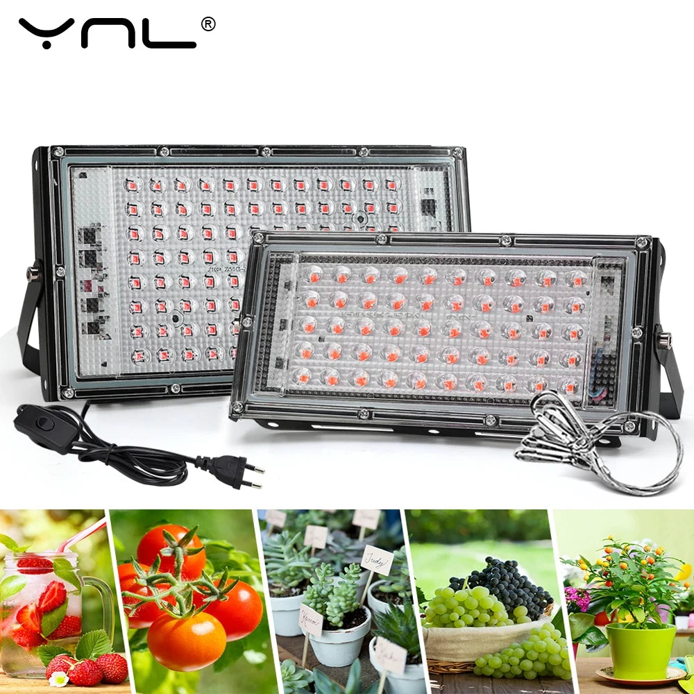 Full Spectrum Greenhouse Grow Light