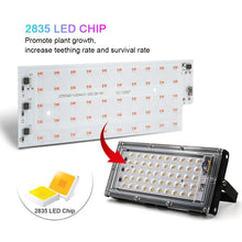Full Spectrum Greenhouse Grow Light
