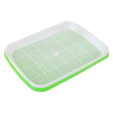 Hydroponic Microgreen Sprouting Tray