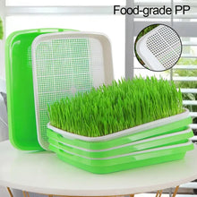 Hydroponic Microgreen Sprouting Tray