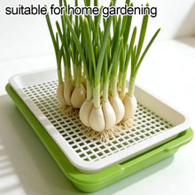 Hydroponic Microgreen Sprouting Tray