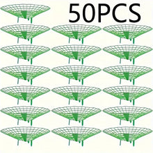 Strawberry Planting Support Rack