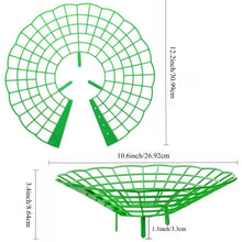Strawberry Planting Support Rack
