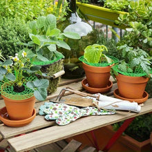 Strawberry Planting Support Rack
