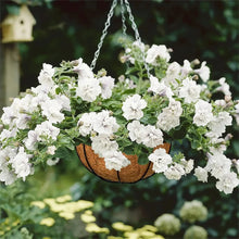 Natural Coconut Fiber Hanging Basket Liner