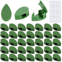 Invisible Vine Climbing Wall Clips
