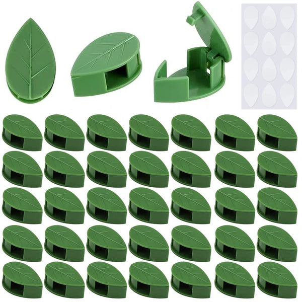 Invisible Vine Climbing Wall Clips