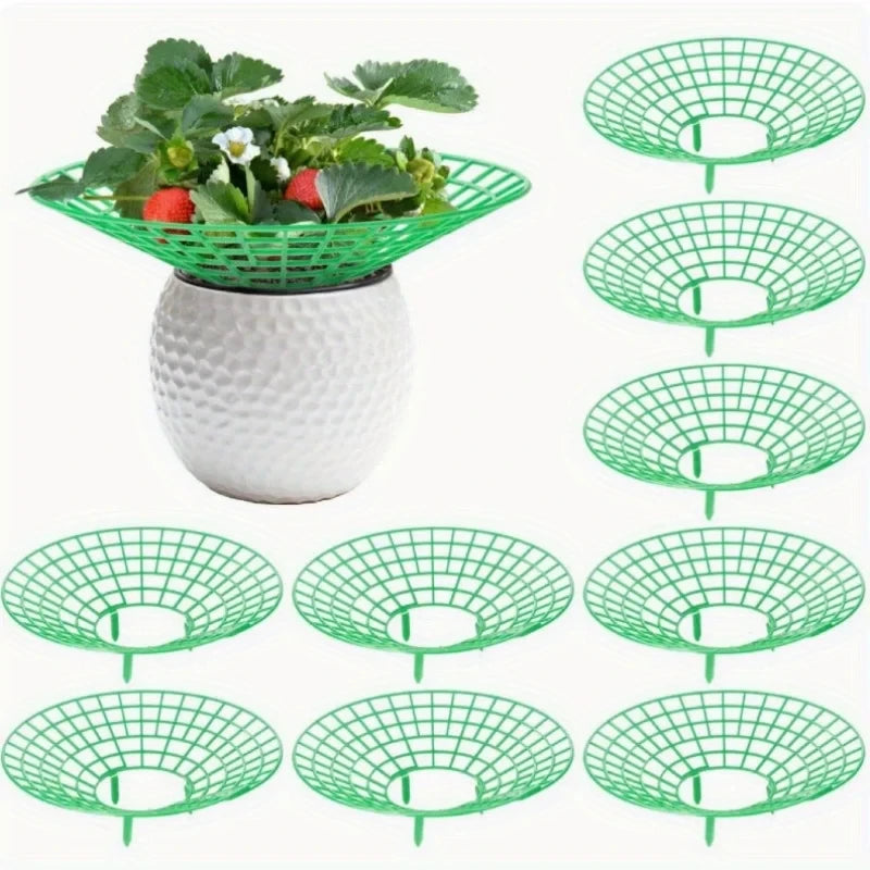 Strawberry Plant Supports