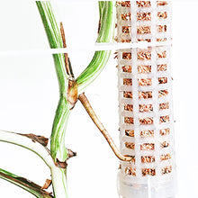 Sphagnum Moss Climbing Pole