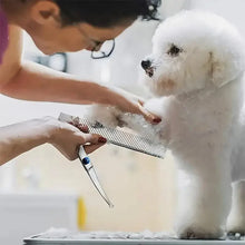 Pet Safe Grooming Scissors