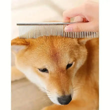 Pet Safe Grooming Scissors