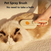 Electric Steam Grooming Brush