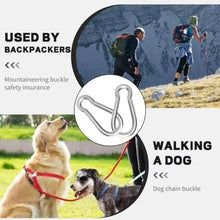 Alloy Mountaineering Carabiner Clips