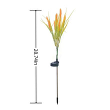 Solar Wheat Ear Garden Light