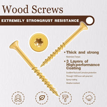 Star Drive Wood Screws