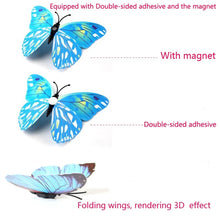 3D Butterfly Wall Decals
