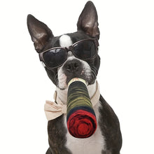 Plush Squeaky Dog Toy