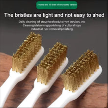 Mini Brass Wire Brush Set